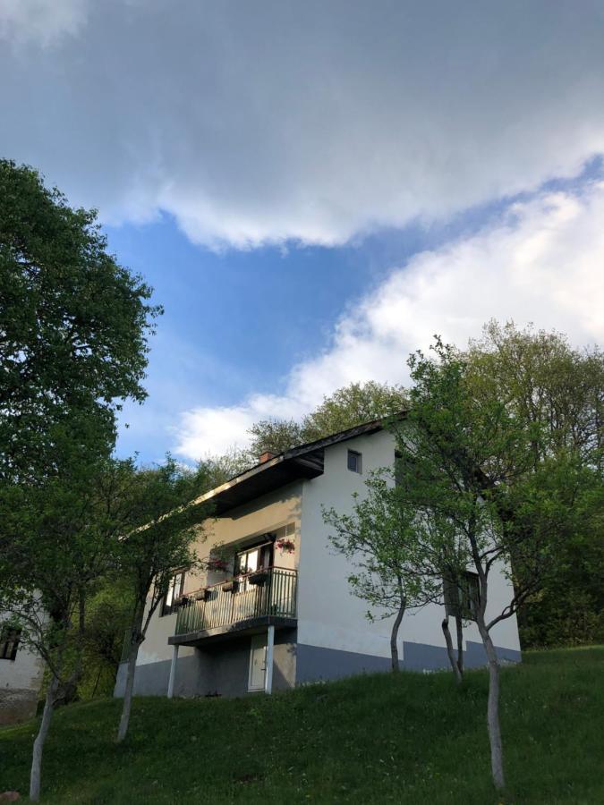 Villa Etno Kuca Milidrag Foca Esterno foto