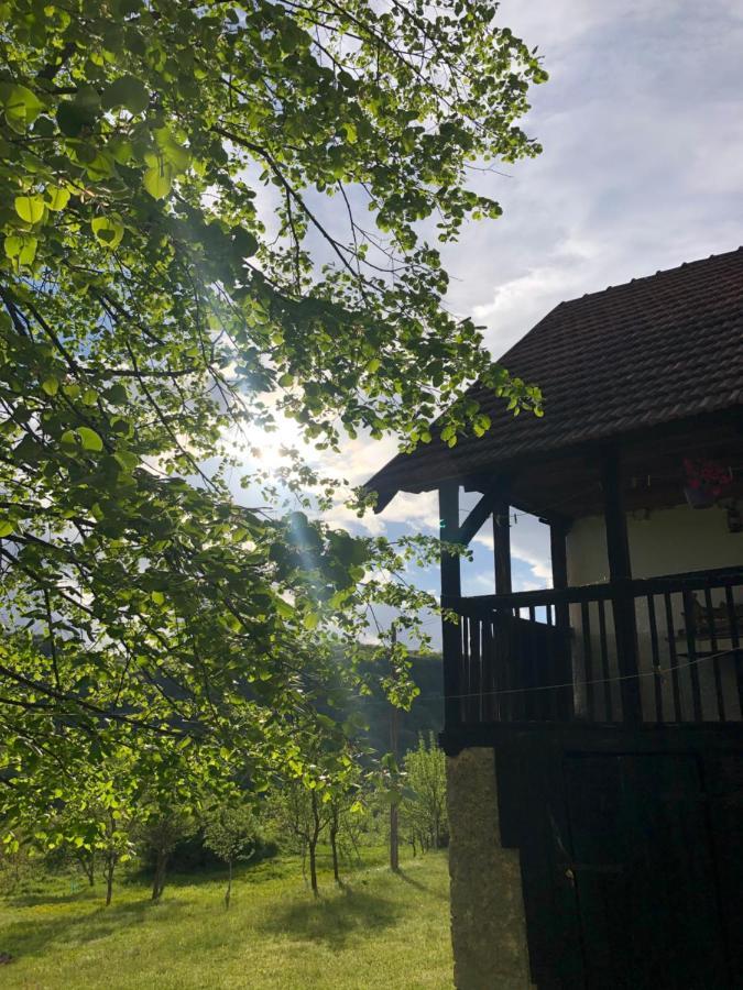 Villa Etno Kuca Milidrag Foca Esterno foto